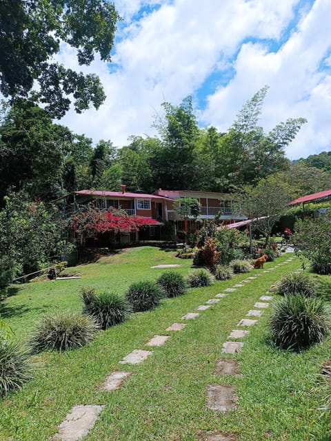 Spring, Day, Natural landscape, Garden, Garden view