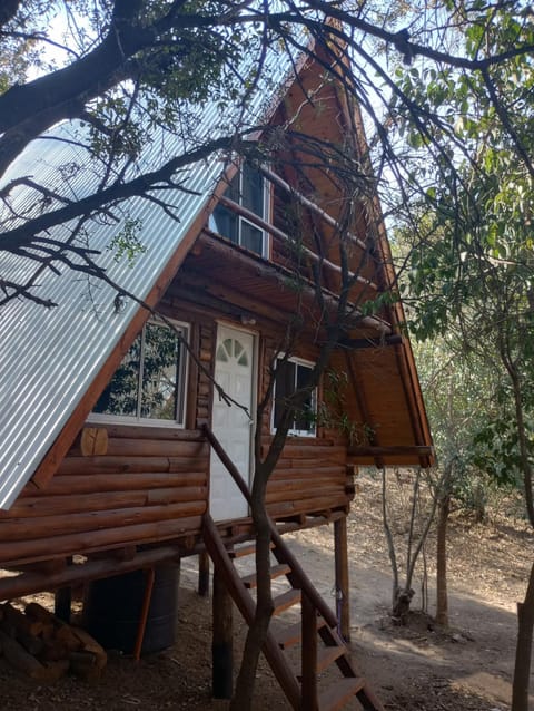 Property building, Natural landscape