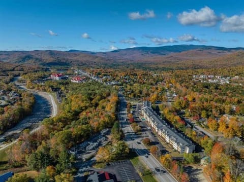 2 Story Townhome ,Pool, Hot Tub, Shuttle, Sleep 10 House in Woodstock