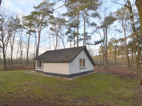 Completely detached bungalow in a nature filled park by a large fen House in Limburg (province)