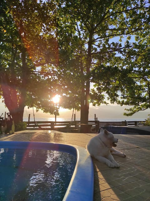 Pool view