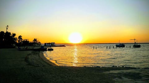 Neighbourhood, Natural landscape, Other, Beach