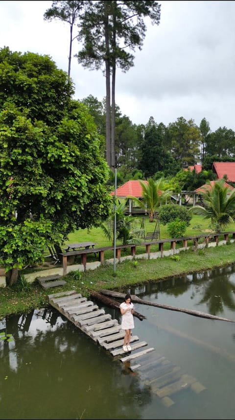 Natural landscape, River view