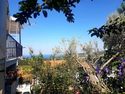 Olive grove mansion - kösedere village House in İzmir Province