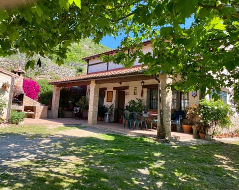 Spring, Garden, Street view