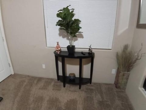 Airy Tucson Retreat - Modern, Cozy, Near U of A Apartment in Tucson