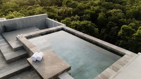 Barneys NY Black Penthouse Pool Concierge Apartment in Tulum