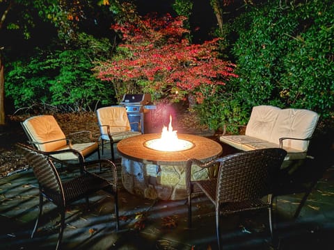 Patio, Night, Seating area, Garden view, fireplace