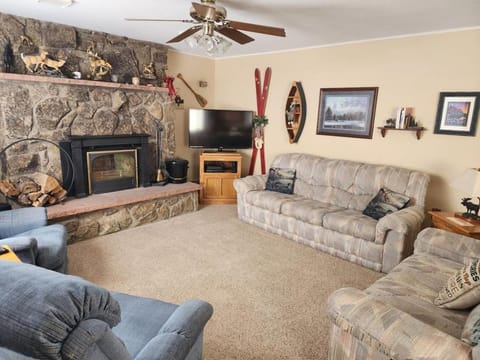 TV and multimedia, Living room, Seating area, Evening entertainment, fireplace