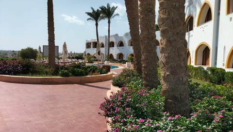 Day, Garden, Garden view, Pool view