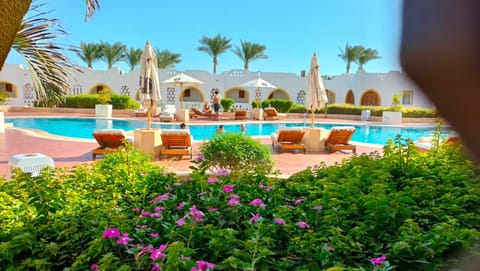 Garden, Garden view, Pool view, Swimming pool