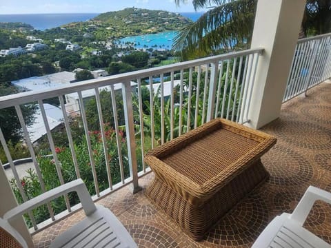 Immaculate Views - Large Deck - Near Westin Resort Apartment in Cruz Bay