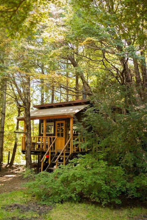 Pucón Magic forest Nature lodge in Pucon