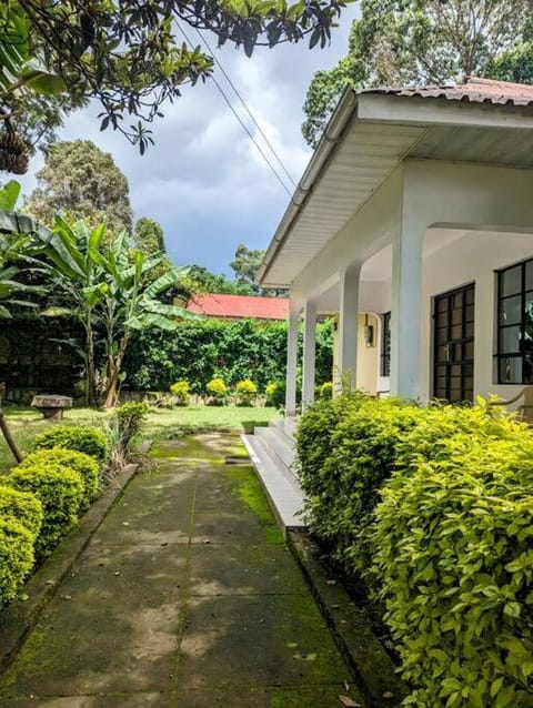 Property building, Garden view