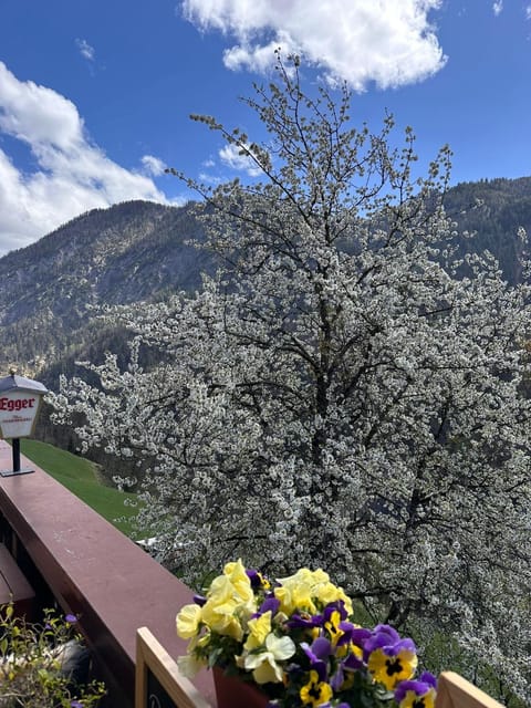 Spring, Day, Natural landscape, Mountain view