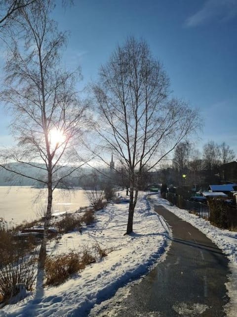 Day, Winter, Lake view