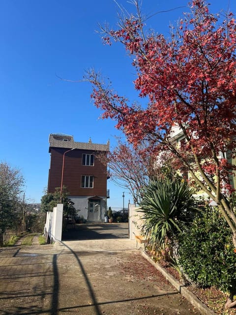 Property building, Garden, View (from property/room), Garden view