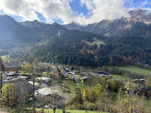 Chalet Du Nant- BO Immobilier - La Chapelle D'Abondance Chalet in Châtel