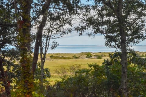 Walk to beach Secluded and private home and backyard Casa in Brewster