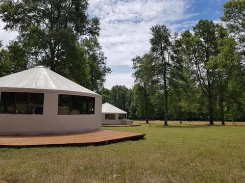 Yurtas en Molco Luxury tent in Los Ríos, Chile