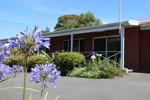 Property building, Garden, Garden view