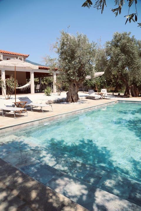 Day, Pool view, Swimming pool, sunbed