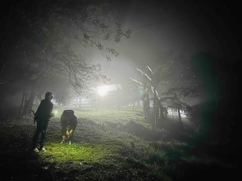 cabaña ecológica lomalinda Villa in Villavicencio