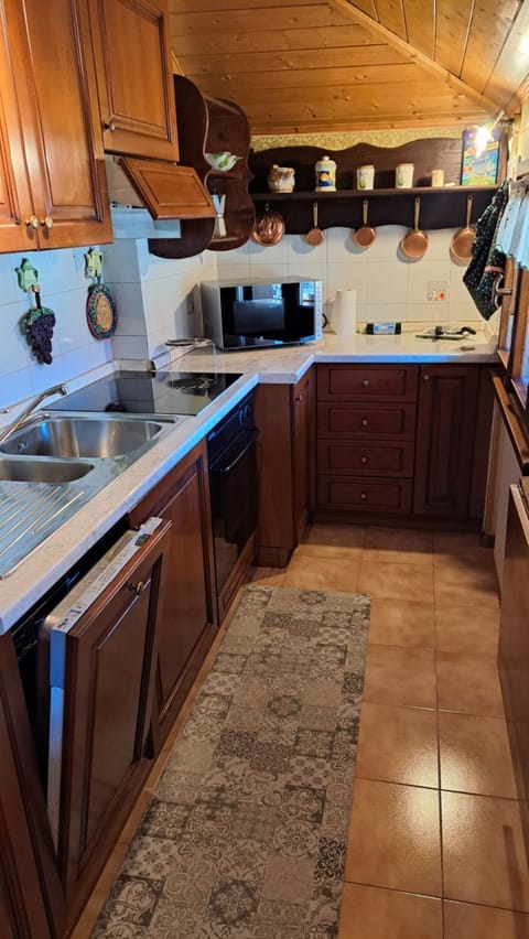 Kitchen or kitchenette, dishwasher, stove
