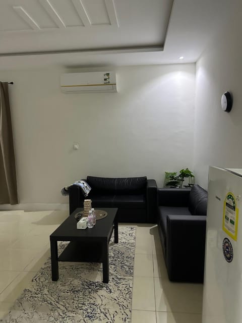 Living room, Seating area, air conditioner