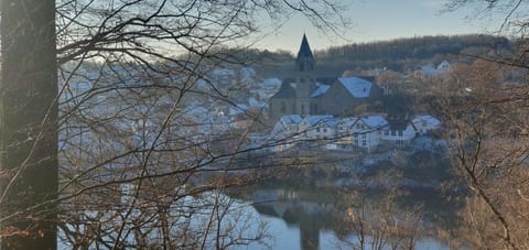 Cottage MaarBurg House in Cochem-Zell