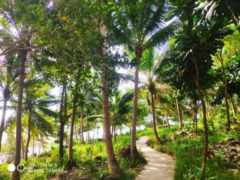 Robinson Crusoe's Jungle Villa Villa in Sihanoukville