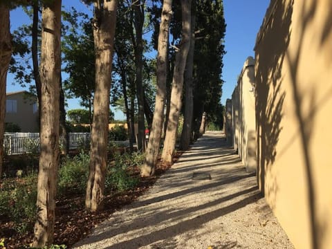 Bastidon 19 House in Saint-Remy-de-Provence