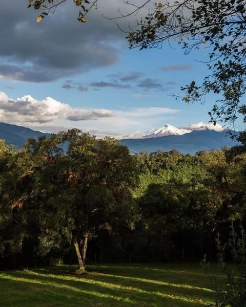 Orchard Triple Room with fire place w Dinner and Breakfast incl House in Cotopaxi, Ecuador