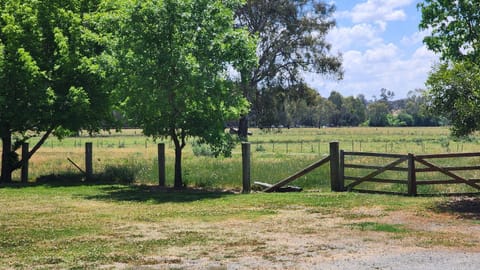 Natural landscape, Garden view