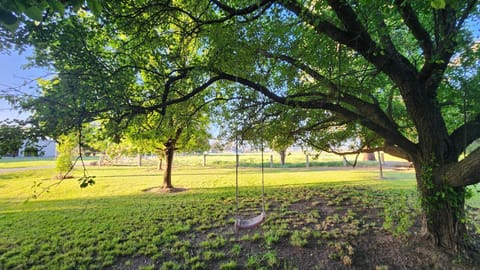 Garden, Garden view