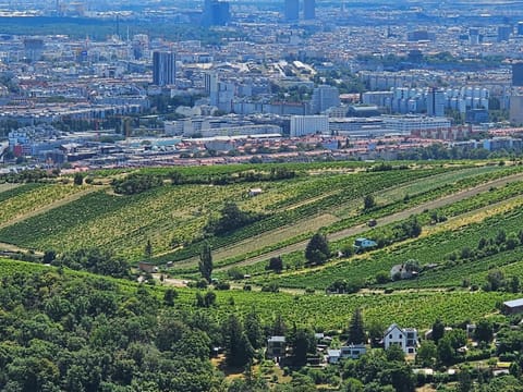 Vienna Wine garden house House in Vienna