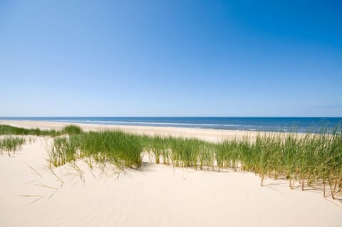 Lido Zeezicht appartementen Condo in Egmond aan Zee