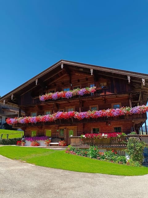 Property building, Garden, Garden, Balcony/Terrace