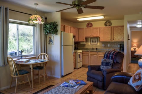 249 1st Street (Lower House) House in Pagosa Springs