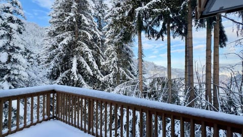 Winter, Balcony/Terrace, Mountain view