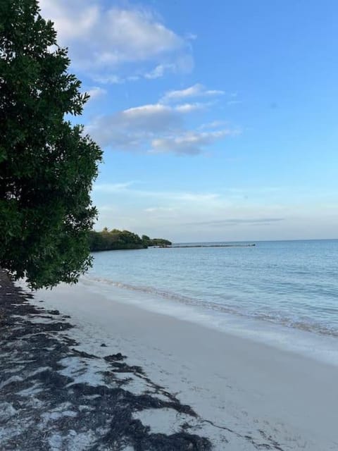 Natural landscape, Beach