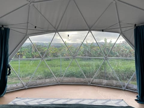 Spacious Dome Tent Glamping Camping Laie North Shore Oahu Tienda de lujo in Laie