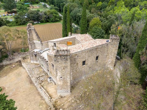 Castell de Falgons Villa in Garrotxa