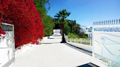 Garden, Garden view