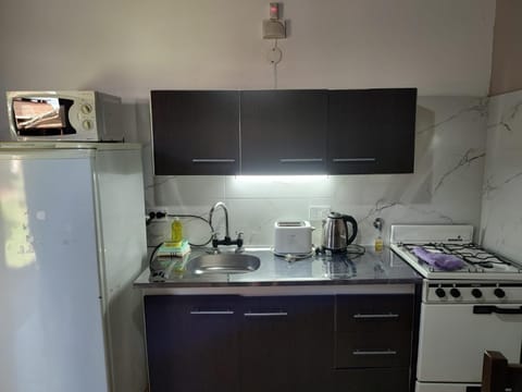 Kitchen or kitchenette, minibar, pet friendly, stove, toaster