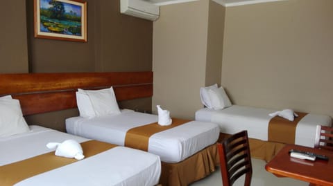 Bora Hotel Hotel in Iquitos