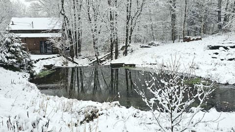 Le 14 Chalets Howard - Spa-Shower-Hammock-Bromont Chalet in Lac-Brome