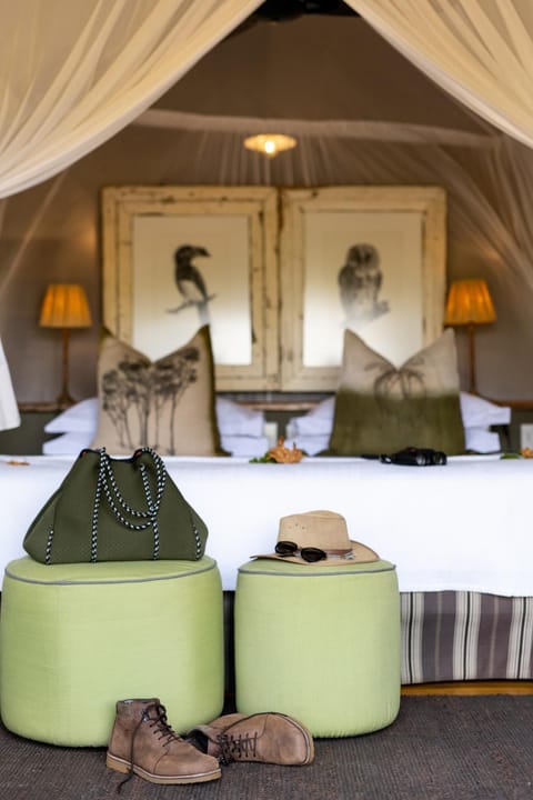 Pafuri Camp Luxury tent in Zimbabwe