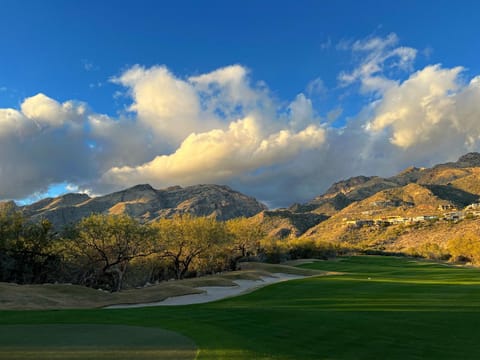 The Nest in Ventana Canyon House in Catalina Foothills