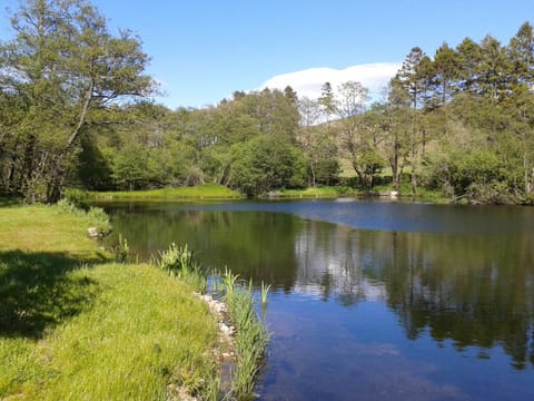 Natural landscape, On site, Lake view